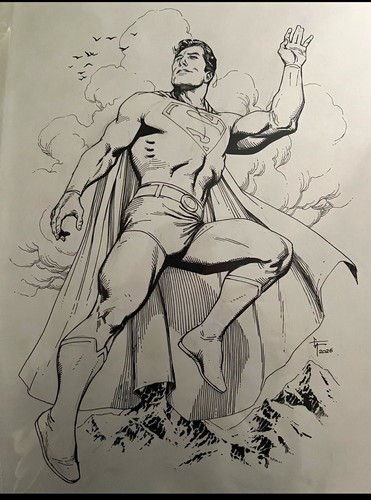 Gary frank superman - a3,
